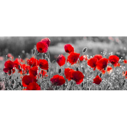 coquelicot