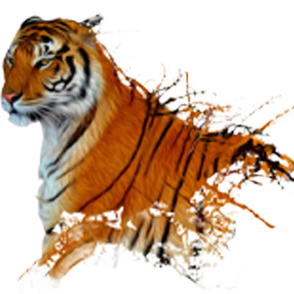 Sticker Tigre